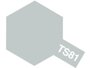 [T85081]TS-81　ロイヤルライトグレイ